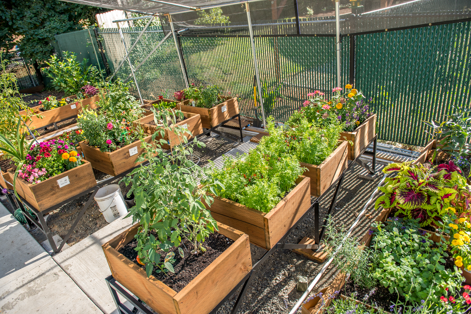 Amenities at Terpening Terrace